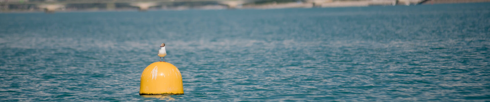 actualites nautique serre poncon