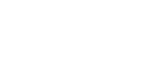 Bateaux de sport hors-bord RX Racing Experience